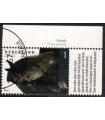 3974 Paardenrassen Fries paard (o) TAB