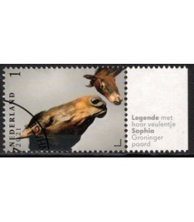 3973 Paardenrassen Groninger paard (o) TAB
