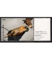 3973 Paardenrassen Groninger paard (o) TAB