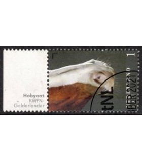 3972 Paardenrassen Gelderlander paard (o) TAB