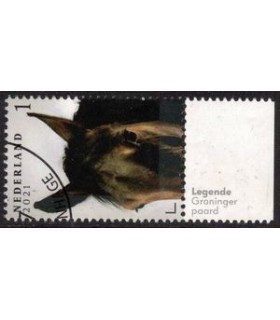 3971 Paardenrassen Groninger paard (o) TAB