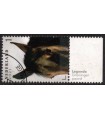 3971 Paardenrassen Groninger paard (o) TAB