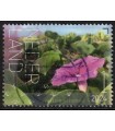 2024 Beleef de natuur Geitenhoefwinde (o)