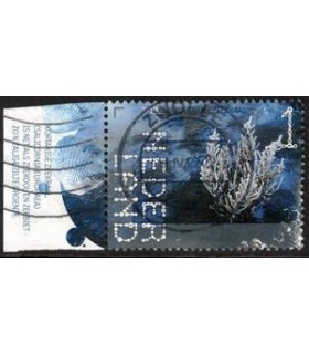 3995 Beleef de natuur Zeekraal (o) TAB