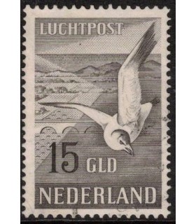 LP13 Zeemeeuw (o) 3.