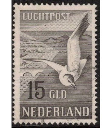 LP13 Zeemeeuw (o) 3.