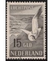 LP13 Zeemeeuw (o) 3.