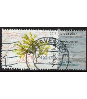 3553 Leven in de Noordzee blaaswier (o) TAB3