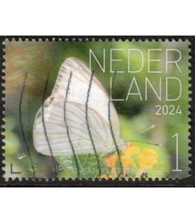 4182 Beleef de natuur Great Southern white (o)