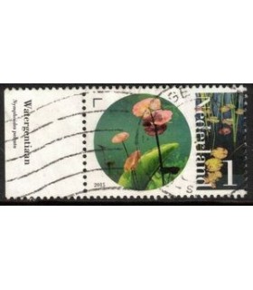 3297 Flora en Fauna Watergentiaan (o) TAB2