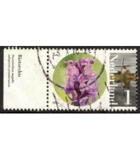 3293 Flora en Fauna Rietorchis (o) TAB