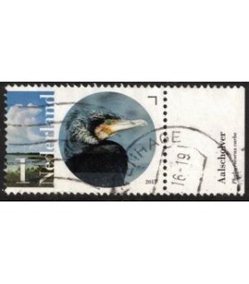 3290 Flora en Fauna Aalscholver (o) TAB