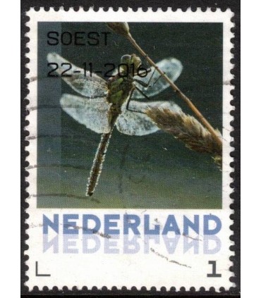 3012 ?? Victor Bos Natuurkunst 2016 (o) 6.