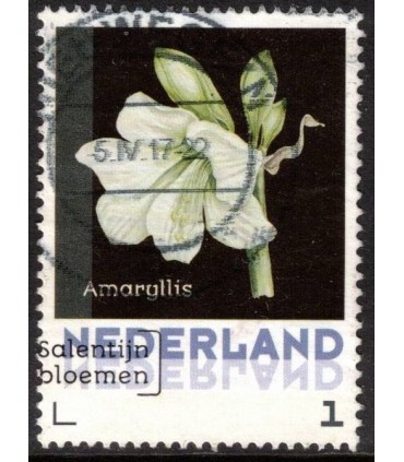 3012 ?? Janneke Brinkman Amaryllis (o)