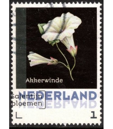 3012 ?? Janneke Brinkman Akkerwinde (o)