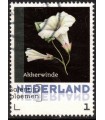 3012 ?? Janneke Brinkman Akkerwinde (o)