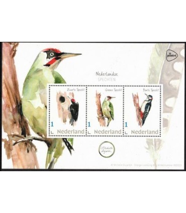 Nederlandse Spechten (xx)