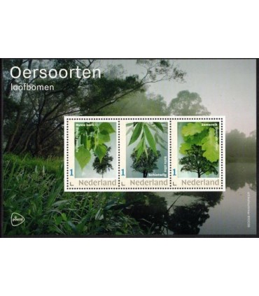 2021 Oersoorten loofbomen (xx)