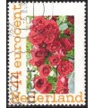 Rozen bos (o)