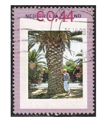 Vrouw naast palmboom (o)