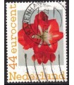Bloem met stamper (o)