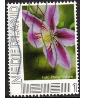 Philip Friskorn (o) 3.