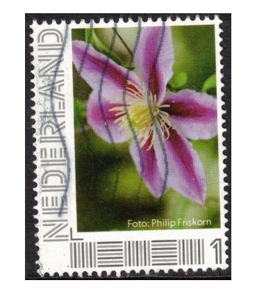 Philip Friskorn (o) 3.