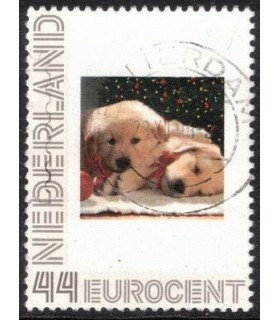2563 H10 Honden (o)