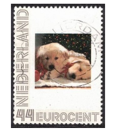 2563 H10 Honden (o)