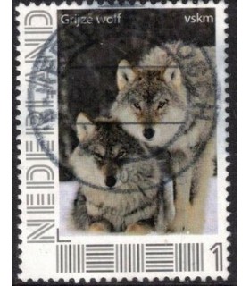 VSKM Grijze wolf (o)