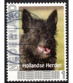 Hollandse Herder (o) 2.