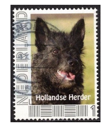 Hollandse Herder (o) 2.