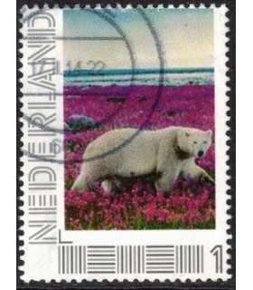 Ijsbeer op de heide (o)