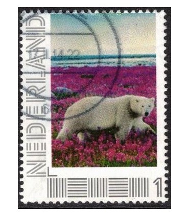 Ijsbeer op de heide (o)