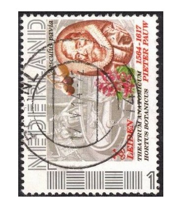 Leiden Pieter Pauw (o)