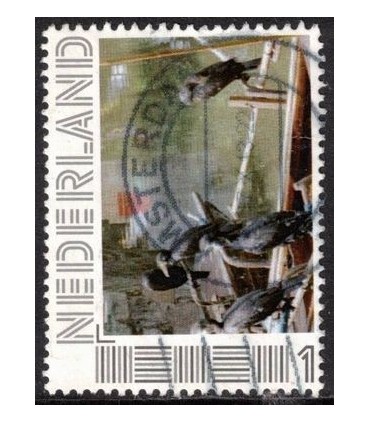 Vogels geen idee welke (o)