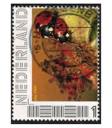 VKSM liefheersbeestje (o)