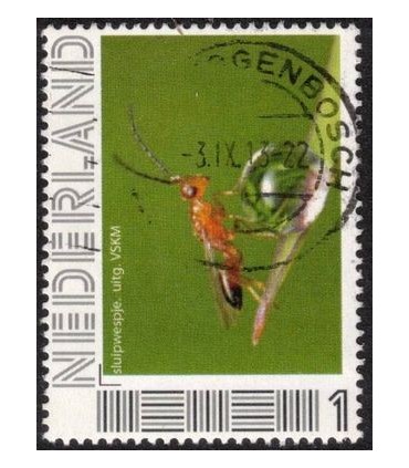 VSKM Sluipwespje (o)