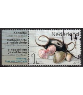 3554 Leven in de Noordzee Nonnetje (o) TAB3
