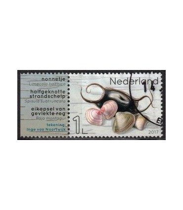 3554 Leven in de Noordzee Nonnetje (o) TAB3