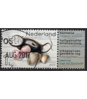 3554 Leven in de Noordzee Nonnetje (o) TAB4