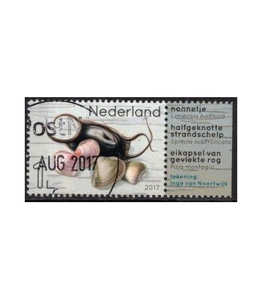 3554 Leven in de Noordzee Nonnetje (o) TAB4