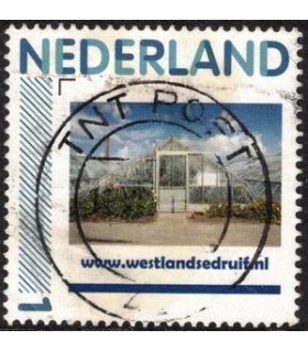Westlandse druiven (o) 10.