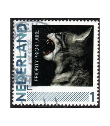 Priority Prioritaire (o)