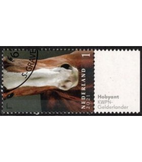 3972 Paardenrassen Gelderlander paard (o) TAB