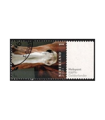 3972 Paardenrassen Gelderlander paard (o) TAB