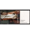 3972 Paardenrassen Gelderlander paard (o) TAB