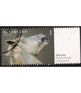3970 Paardenrassen Trekpaard (o) TAB