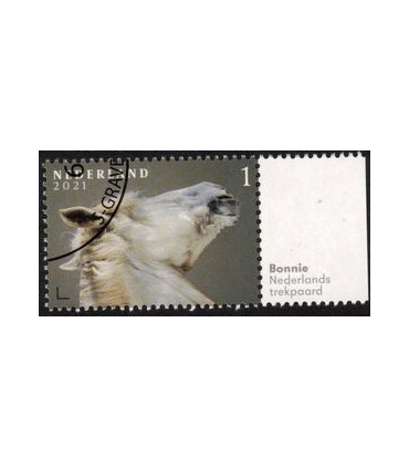 3970 Paardenrassen Trekpaard (o) TAB