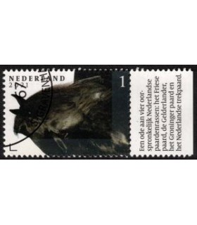 3974 Paardenrassen Fries paard (o) TAB